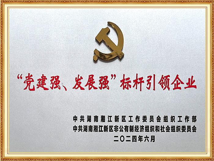 党建强、发展强、标杆引领企业（湘江新区）